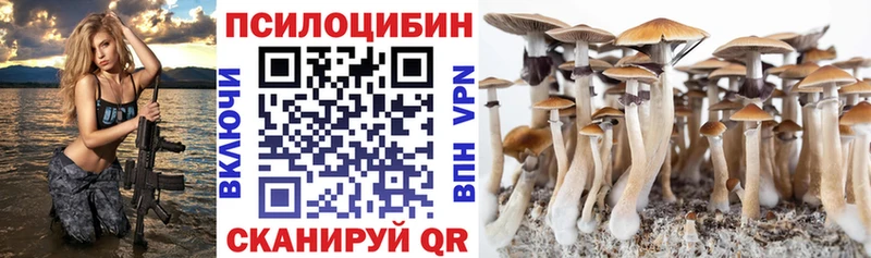 Псилоцибиновые грибы Psilocybe цена дарк нет формула Кострома
