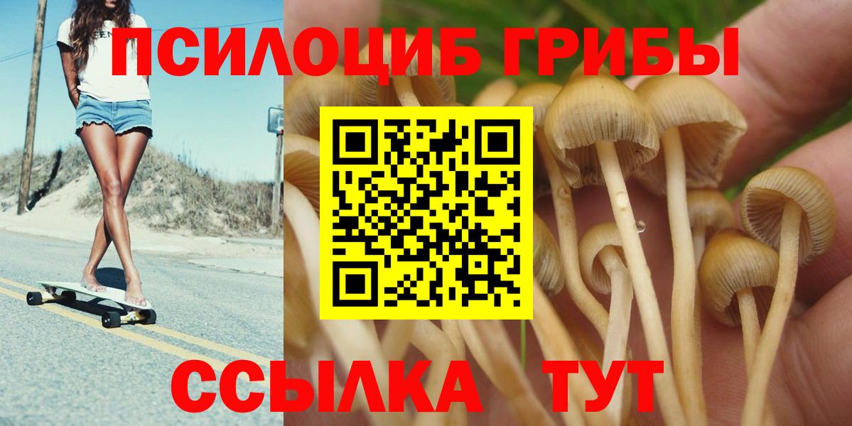 Псилоцибиновые грибы Cubensis  как найти   Кострома  Вход с VPN 