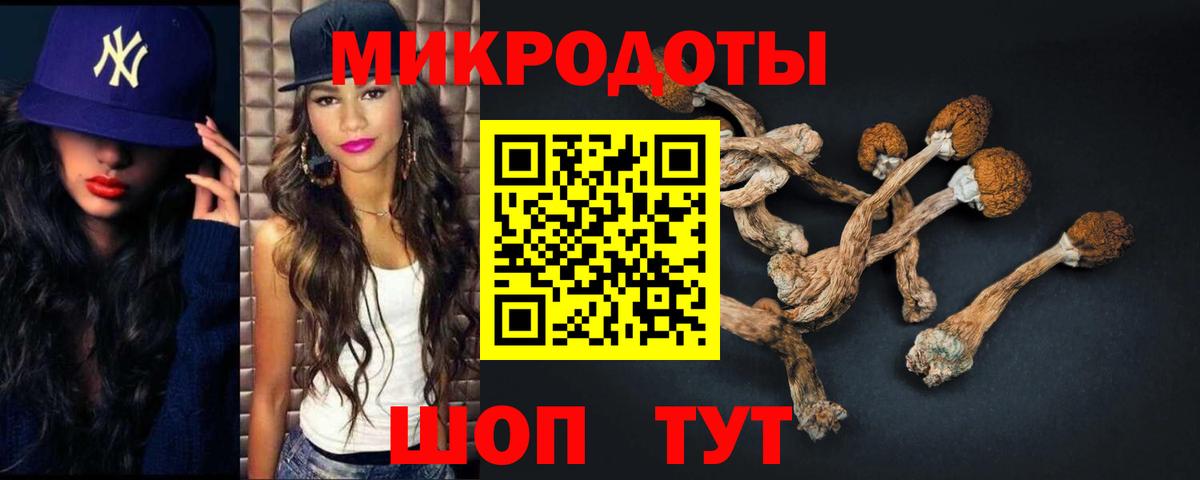 Галлюциногенные грибы Psilocybine cubensis  Галлюциногенные грибы Psilocybe  Кострома 