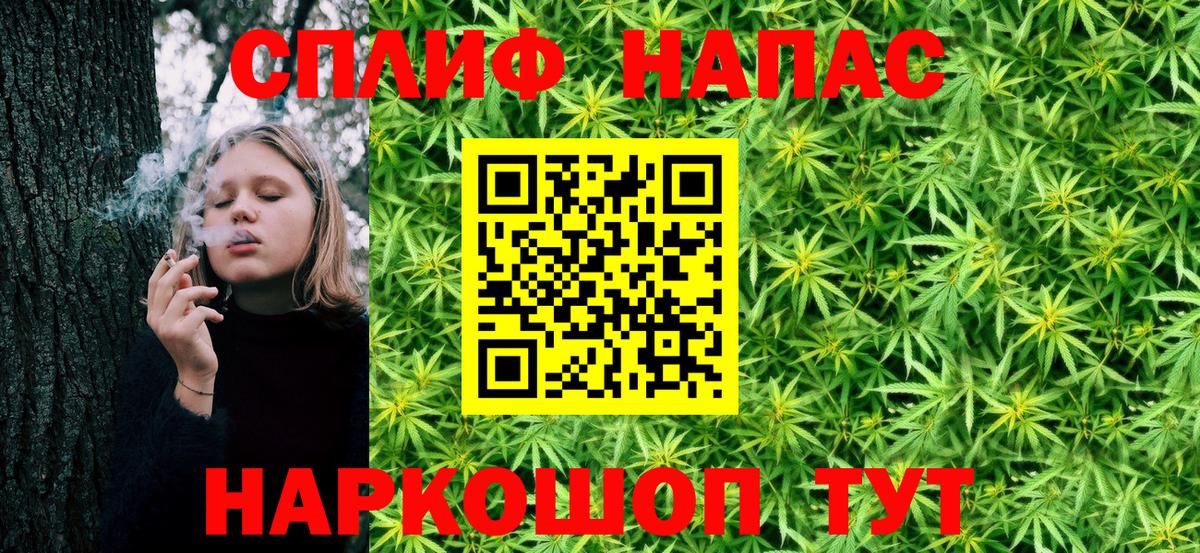 Конопля ГИДРОПОН  Конопля сатива  Марихуана гибрид  Кострома  Вход с VPN 